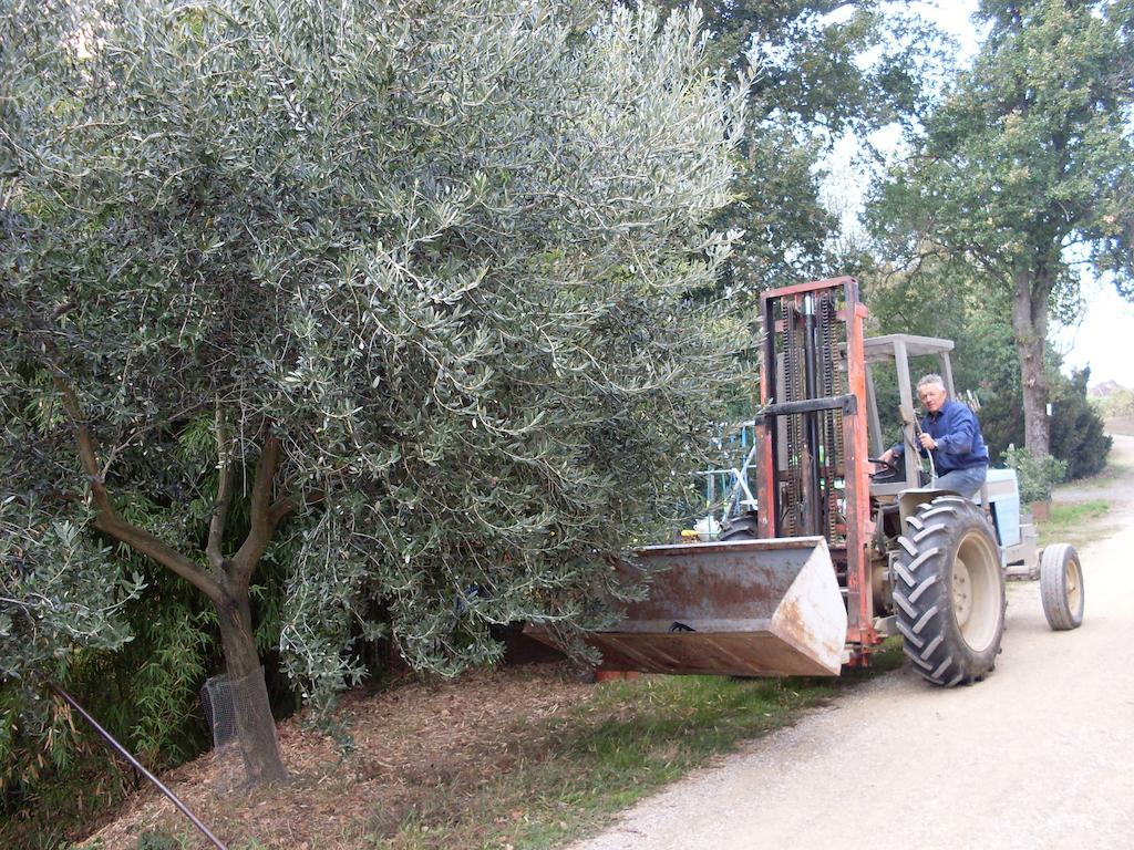 Agriturismo La Marletta Имола Екстериор снимка